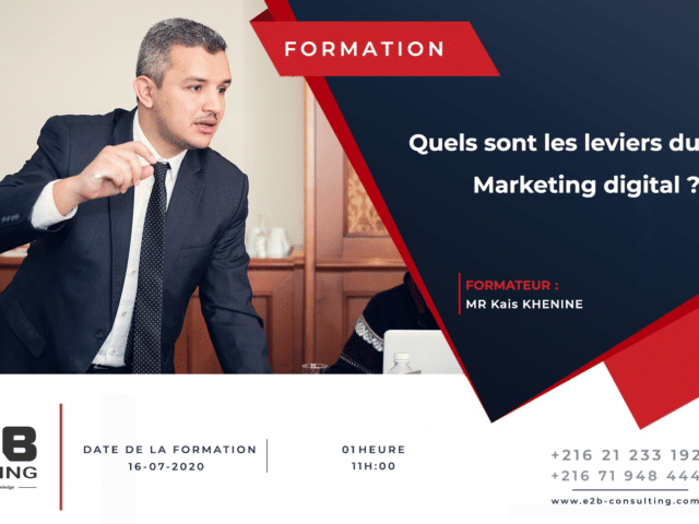 Quels sont les leviers du Marketing Digital?